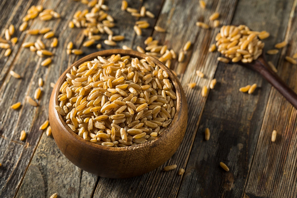Cos’è il grano Khorasan e cos’è il Kamut?