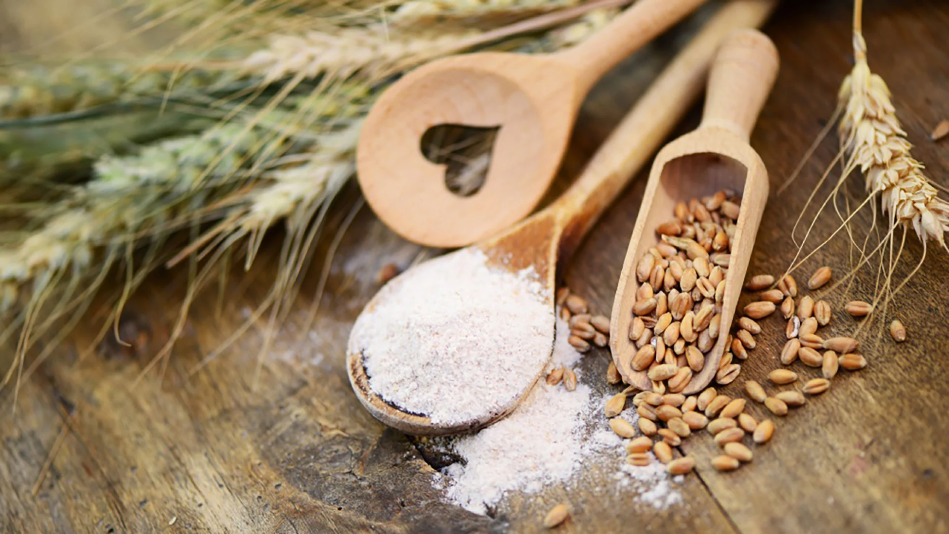 La farina biologica e l’importanza della filiera corta