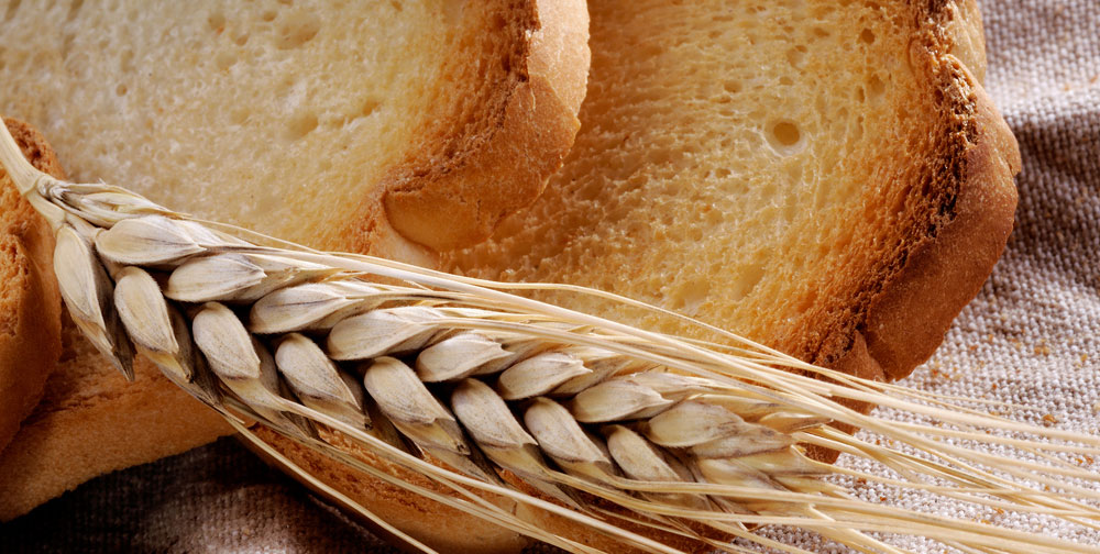 Fette biscottate al farro o al khorasan o con farina intera