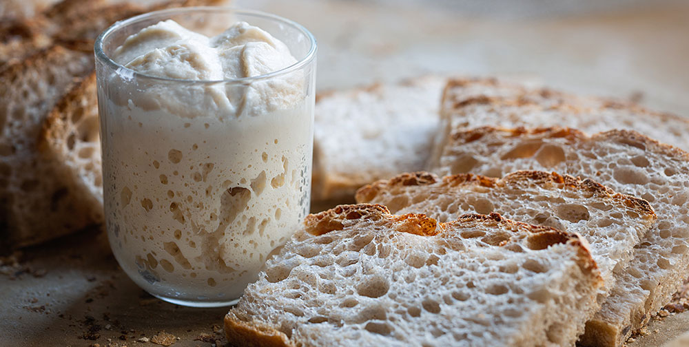 Ricetta per filoncini rustici con lievito madre