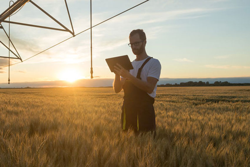 Scopri la farina biologica: gusto, salute e rispetto per l’ambiente