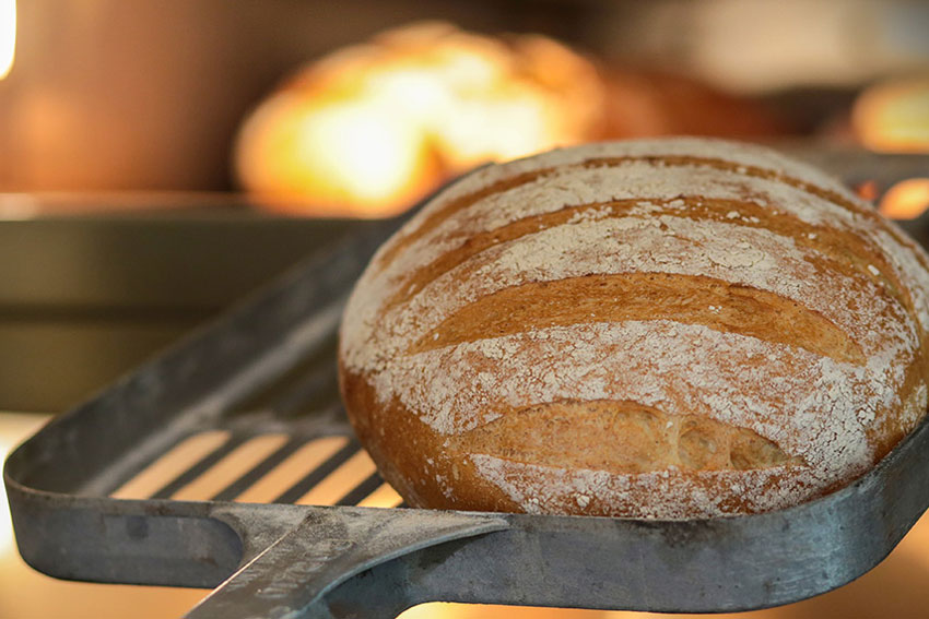 Come scegliere il tipo di farina per ogni ricetta (senza farsi ingannare dai pregiudizi)