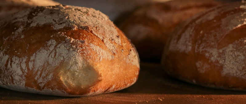 L’arte della farina: scopri il segreto di pane e pasta perfetti
