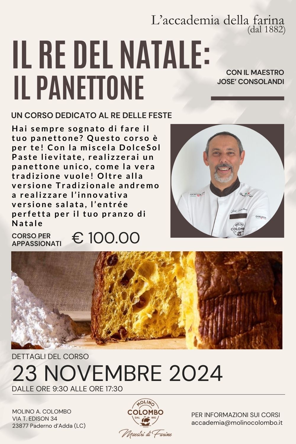 Il Re del Natale: il Panettone